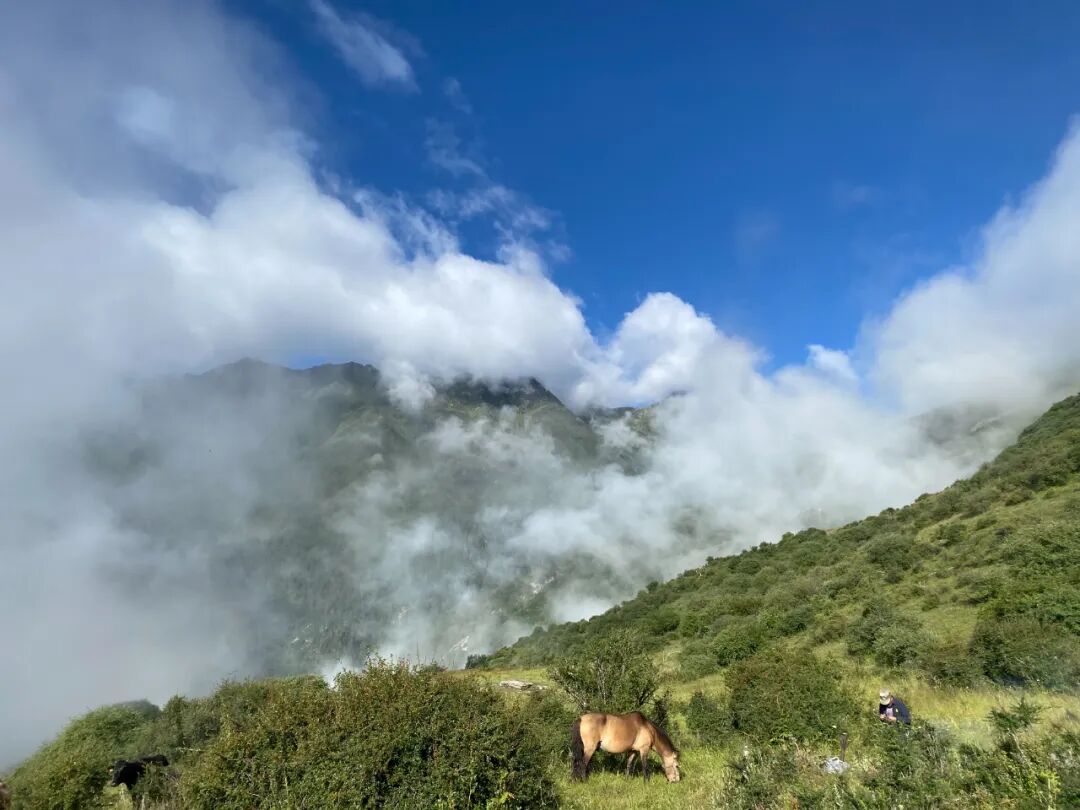 成都羌寨自然营地活动现场