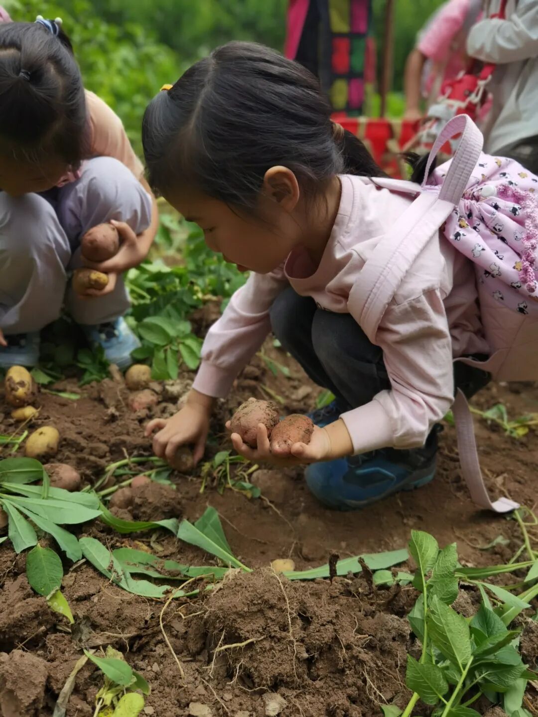 孩子参与农耕与自然探索